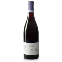 Domaine Agnes Paquet Pommard Les Combes | French Wine